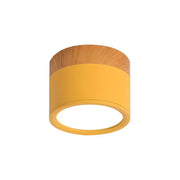 Elegant Nordic cylindrical LED ceiling light – Chic and energy-saving solution for your hallway