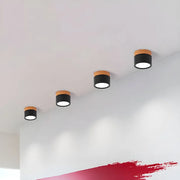 Elegant Nordic cylindrical LED ceiling light – Chic and energy-saving solution for your hallway
