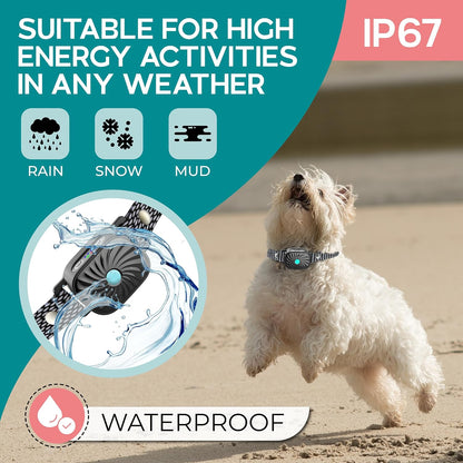 Soft Anti-Bark Collar PetSilence – The Perfect Training Solution for Your Small Dog