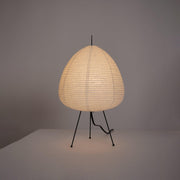 Exquisite Akari table lamp – Mulberry paper and elegant metal design