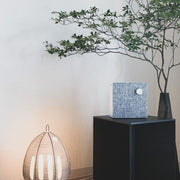 Exquisite Akari table lamp – Mulberry paper and elegant metal design