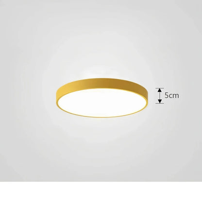 Opulent ChromaCraft Ceiling Light – Sophisticated and Elegant Lighting