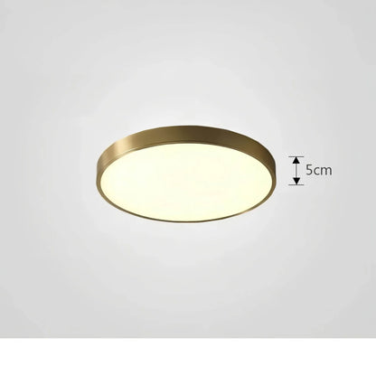 Opulent ChromaCraft Ceiling Light – Sophisticated and Elegant Lighting