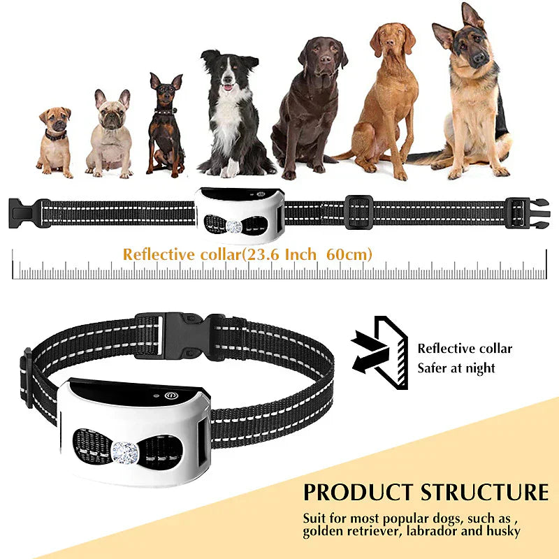Choc Ultime 2-en-1 Clôture Invisible Sans Fil pour Chiens & Collier d'Education – Solution de Contention Sécurisée et Personnalisable