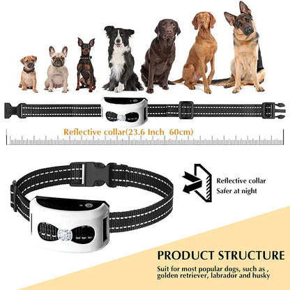 Choc Ultime 2-en-1 Clôture Invisible Sans Fil pour Chiens & Collier d'Education – Solution de Contention Sécurisée et Personnalisable