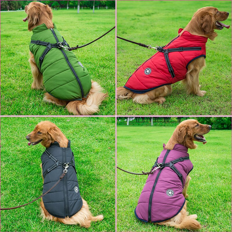Knusse winterjas voor honden met geïntegreerd harnas - Warmte en bescherming gecombineerd!