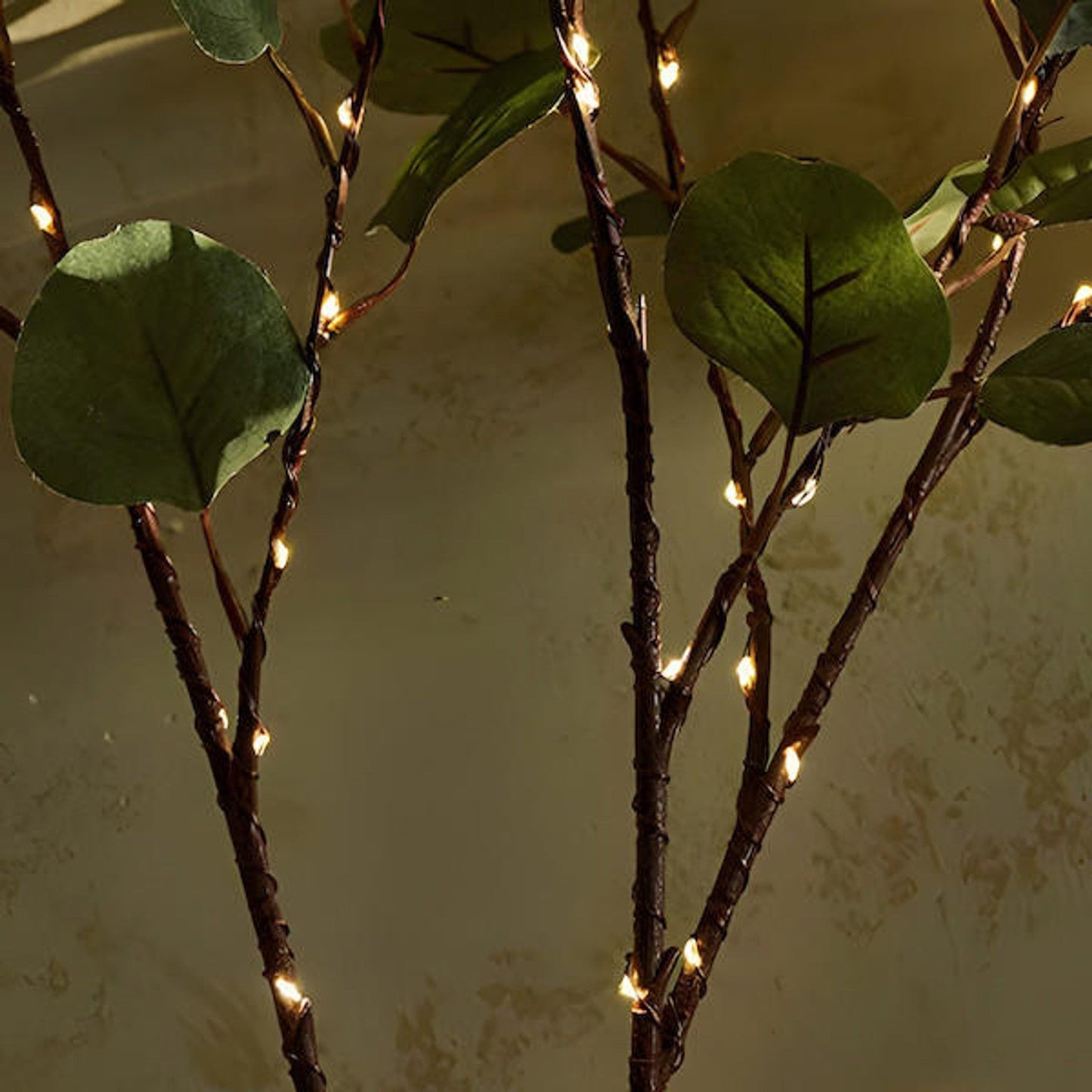 Fairy light garland in olive branches – Create a soothing natural atmosphere