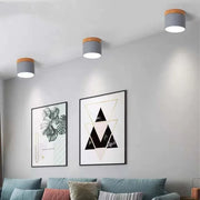 Elegant Nordic cylindrical LED ceiling light – Chic and energy-saving solution for your hallway