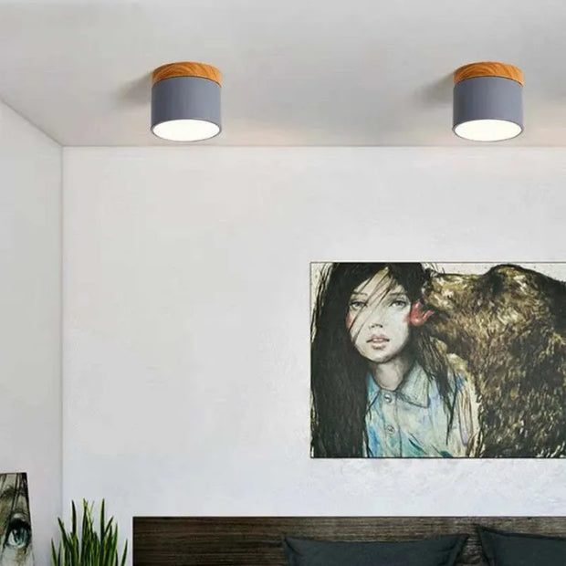 Elegant Nordic cylindrical LED ceiling light – Chic and energy-saving solution for your hallway
