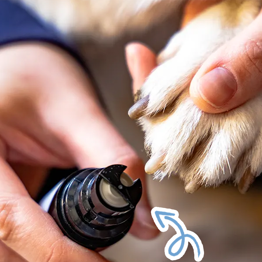 Ultra stille nagelvijl voor dieren - zachte en hoogwaardige klauwverzorging voor uw viervoetige vrienden