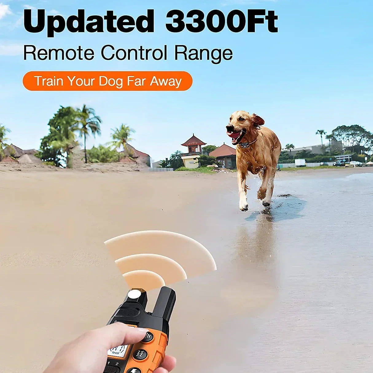 Collier de dressage pour chien rechargeable étanche 1000m avancé pour un entraînement efficace