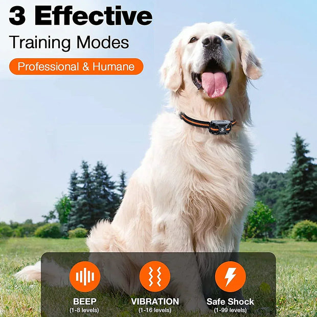 Collier de dressage pour chien rechargeable étanche 1000m avancé pour un entraînement efficace