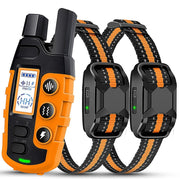 Collier de dressage pour chien rechargeable étanche 1000m avancé pour un entraînement efficace