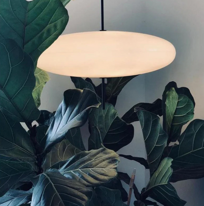 Plafonnier L'Ovale Élégant - Luminaire Raffiné en Verre et Métal | Éclairage Moderne et Sophistiqué