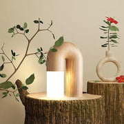 Arched Table Lamp Diapolo – A Classic Touch of Sophistication and Elegance