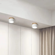 Elegant Nordic cylindrical LED ceiling light – Chic and energy-saving solution for your hallway