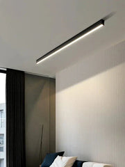 Ecolume Sleek LED Ceiling Light – Elegant and Energy-Efficient Lighting Solution